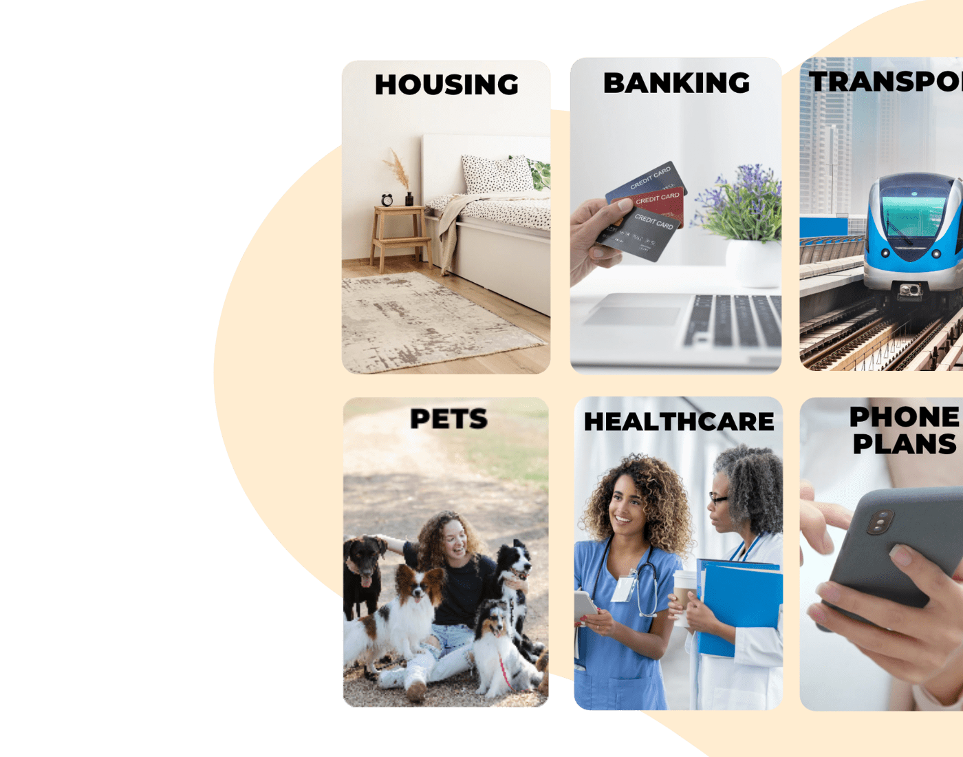 photo showing some of the Categories you get access on Matutto: Housing, Banking, Transport, Pets, Healthcare and Phone Plans